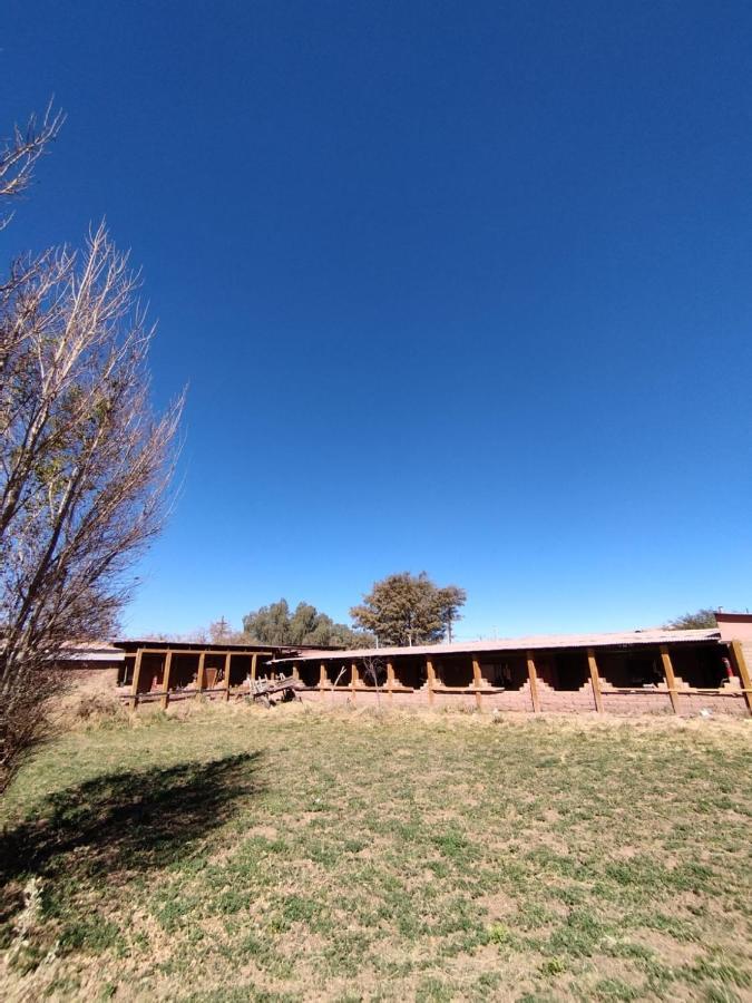 Puna Hostel San Pedro de Atacama Exterior foto